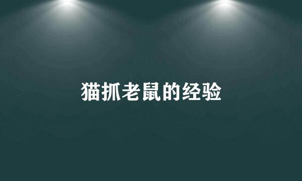 猫抓老鼠的经验
