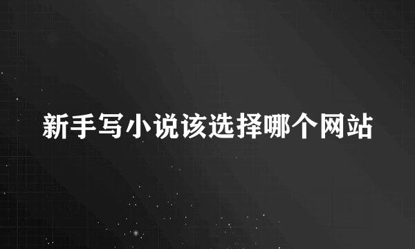 新手写小说该选择哪个网站