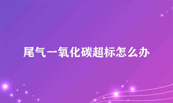 尾气一氧化碳超标怎么办
