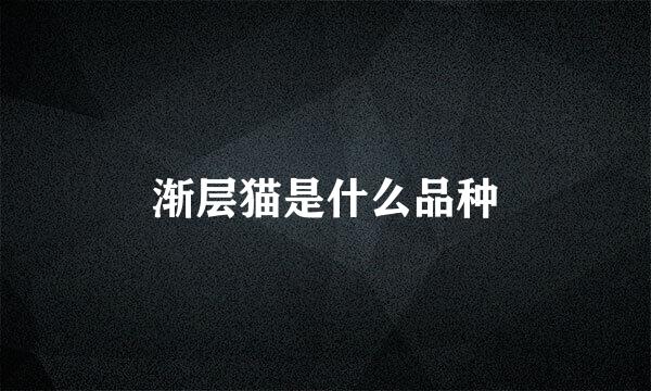 渐层猫是什么品种