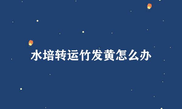 水培转运竹发黄怎么办