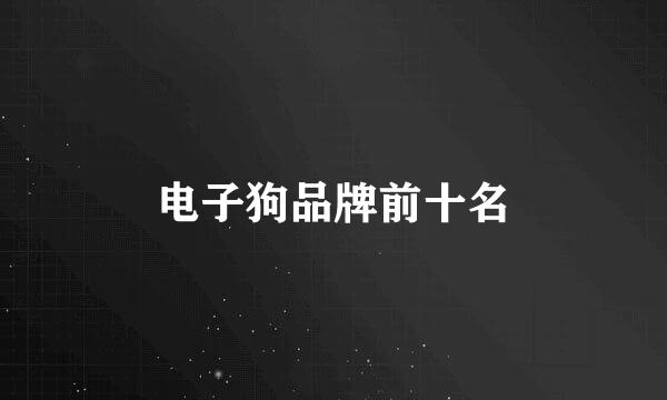 电子狗品牌前十名