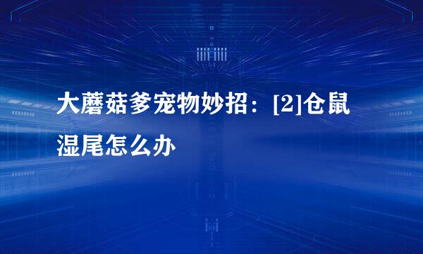 大蘑菇爹宠物妙招：[2]仓鼠湿尾怎么办