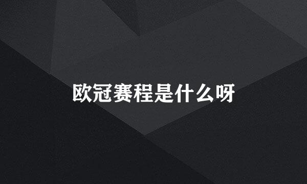 欧冠赛程是什么呀