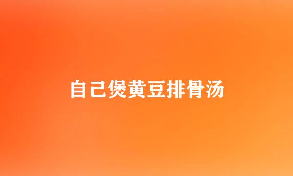 自己煲黄豆排骨汤