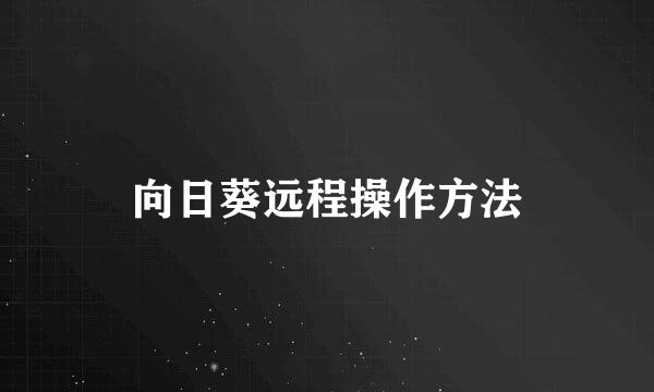 向日葵远程操作方法