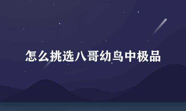 怎么挑选八哥幼鸟中极品