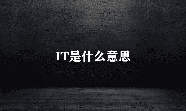 IT是什么意思