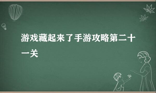 游戏藏起来了手游攻略第二十一关