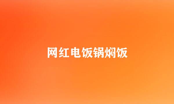 网红电饭锅焖饭