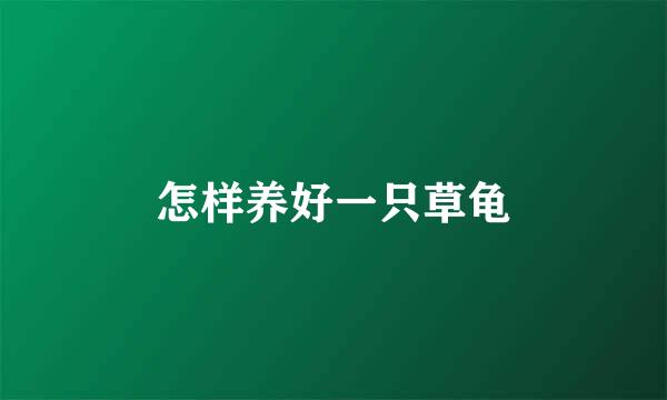 怎样养好一只草龟