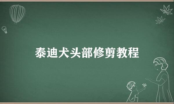 泰迪犬头部修剪教程