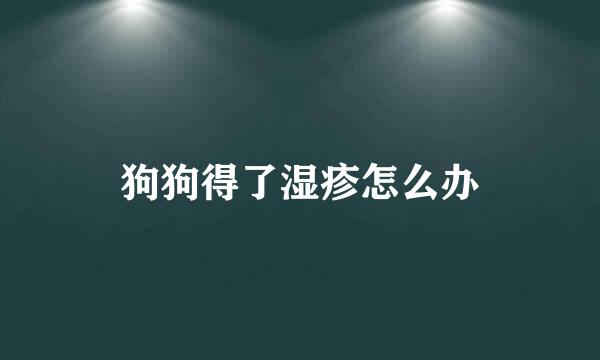 狗狗得了湿疹怎么办