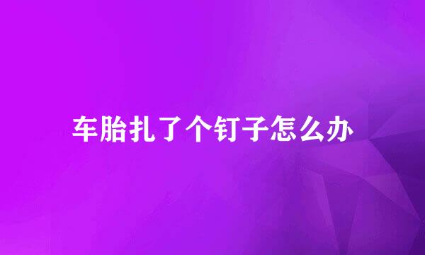 车胎扎了个钉子怎么办