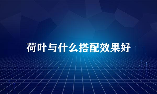 荷叶与什么搭配效果好
