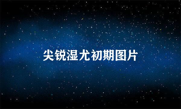 尖锐湿尤初期图片