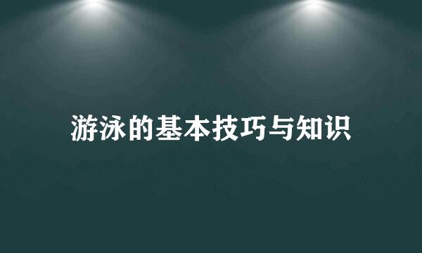 游泳的基本技巧与知识