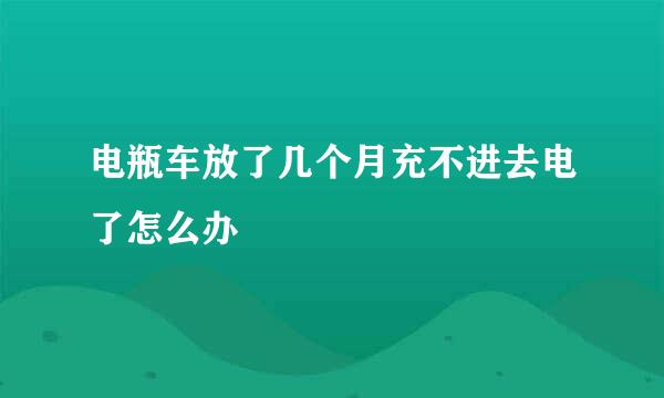电瓶车放了几个月充不进去电了怎么办