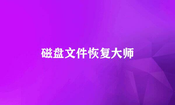 磁盘文件恢复大师