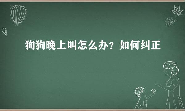 狗狗晚上叫怎么办？如何纠正
