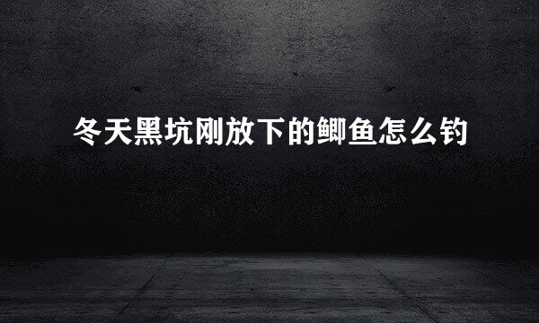 冬天黑坑刚放下的鲫鱼怎么钓