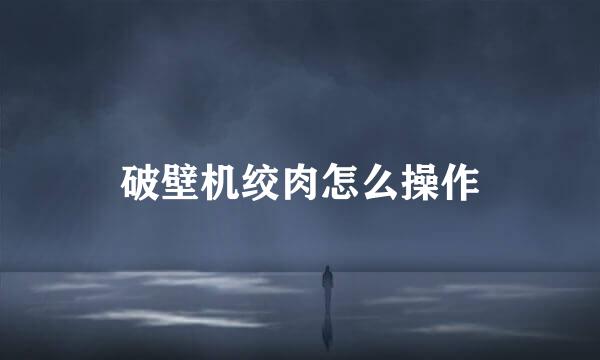 破壁机绞肉怎么操作