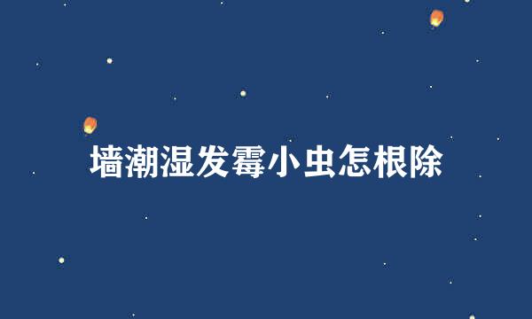 墙潮湿发霉小虫怎根除
