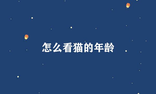 怎么看猫的年龄