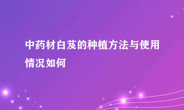 中药材白芨的种植方法与使用情况如何