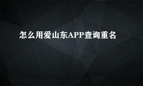 怎么用爱山东APP查询重名