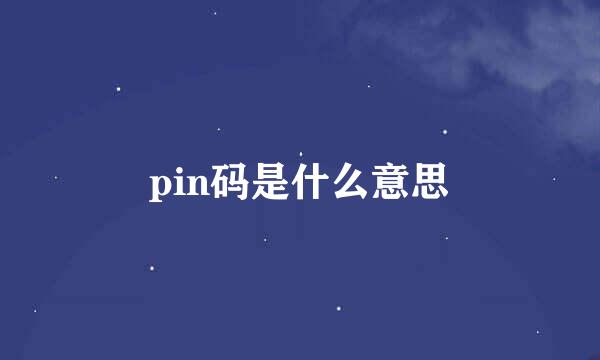 pin码是什么意思