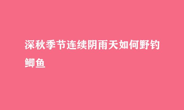 深秋季节连续阴雨天如何野钓鲫鱼