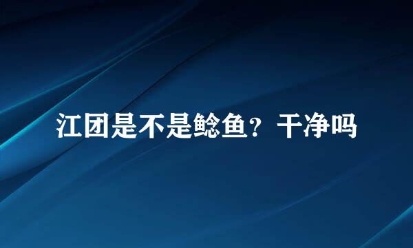 江团是不是鲶鱼?干净吗