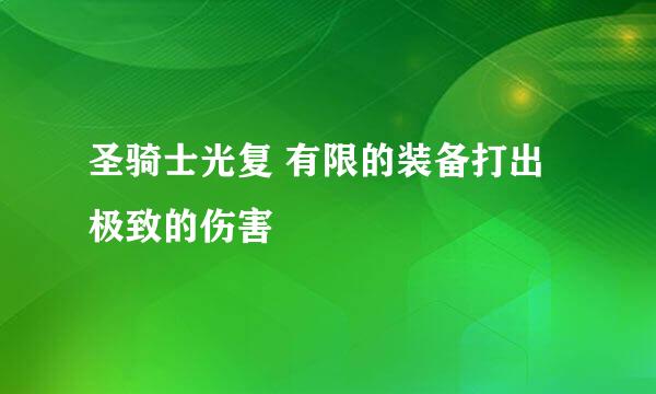 圣骑士光复 有限的装备打出极致的伤害