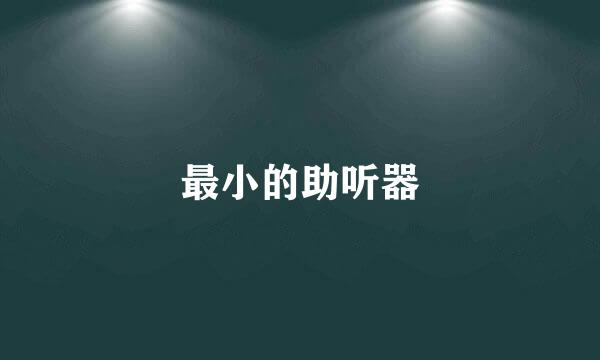 最小的助听器