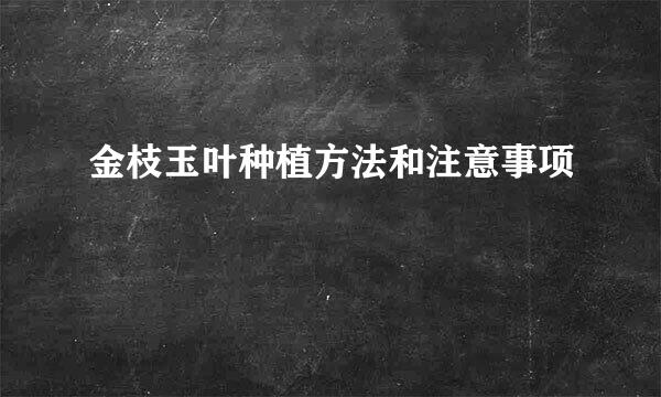 金枝玉叶种植方法和注意事项