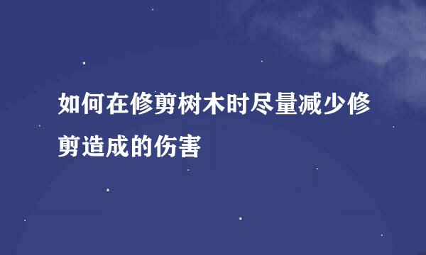 如何在修剪树木时尽量减少修剪造成的伤害