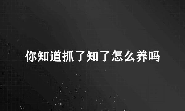 你知道抓了知了怎么养吗