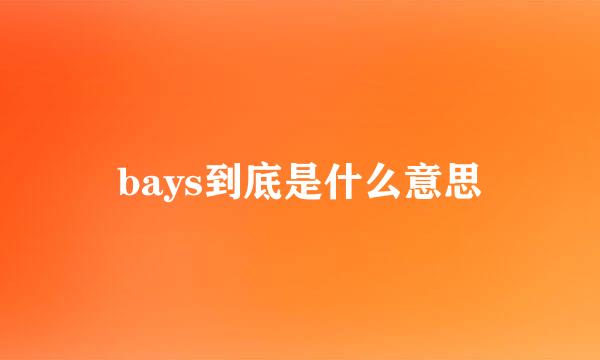 bays到底是什么意思