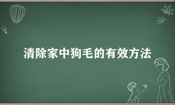 清除家中狗毛的有效方法