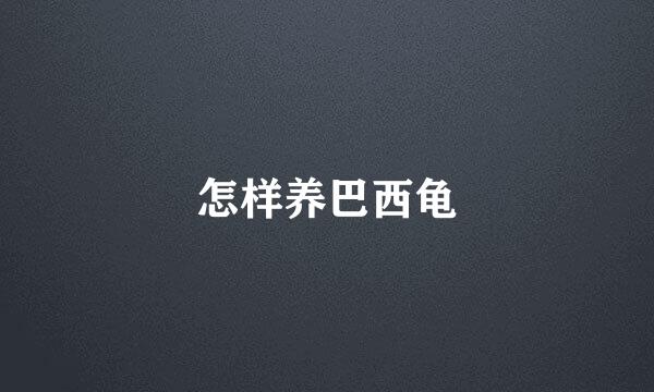 怎样养巴西龟