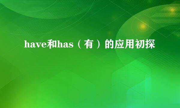 have和has（有）的应用初探
