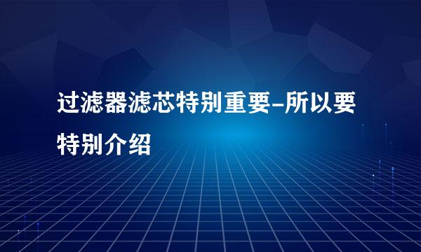 过滤器滤芯特别重要-所以要特别介绍
