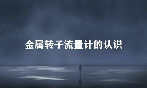 金属转子流量计的认识
