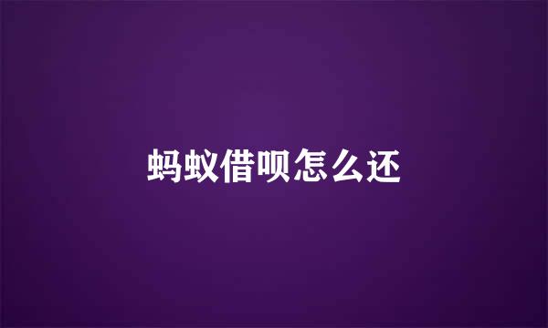 蚂蚁借呗怎么还
