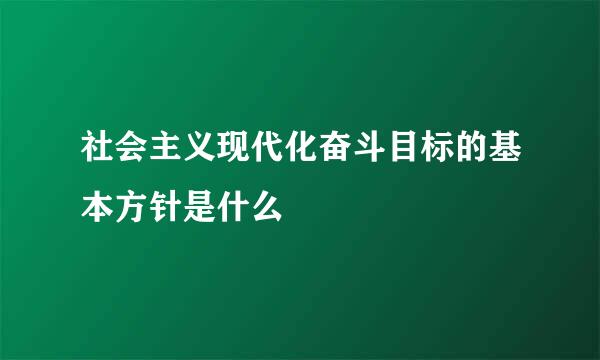 社会主义现代化奋斗目标的基本方针是什么