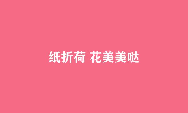 纸折荷 花美美哒