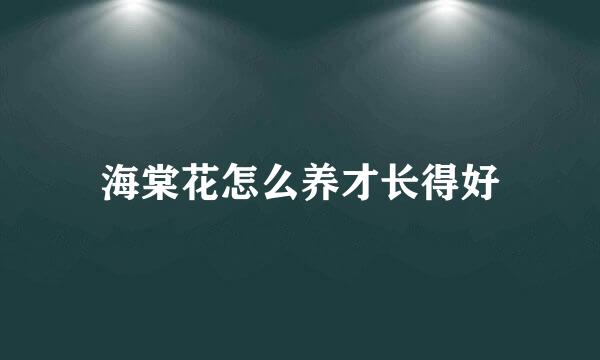 海棠花怎么养才长得好
