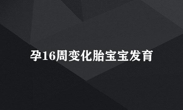 孕16周变化胎宝宝发育