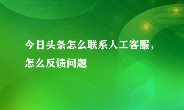 今日头条怎么联系人工客服，怎么反馈问题